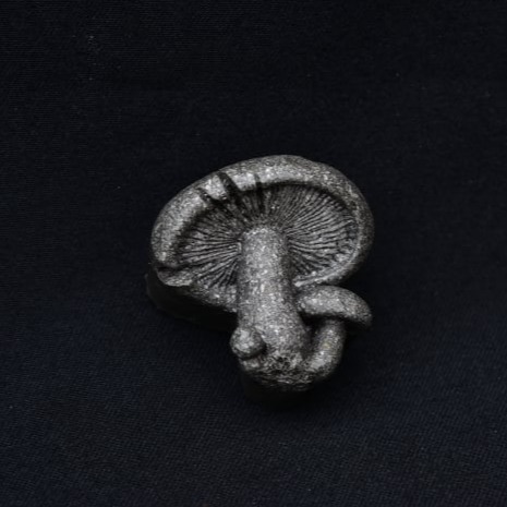 ELECTRONITE FUNGI